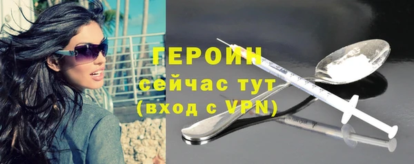 индика Инсар