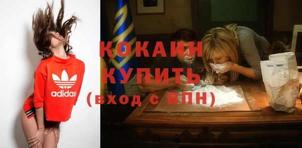 индика Инсар