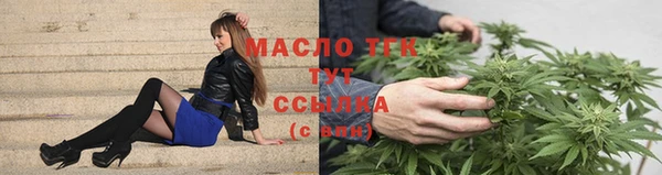 индика Инсар