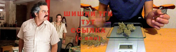 стафф Инта