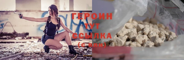индика Инсар