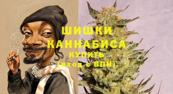 индика Инсар