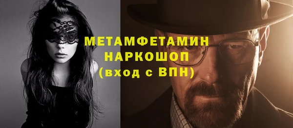 индика Инсар