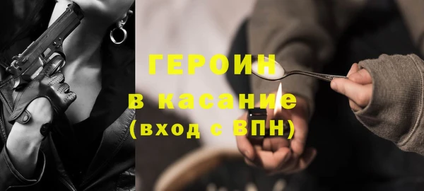 индика Инсар