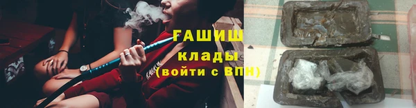 индика Инсар