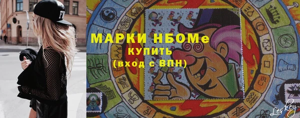 индика Инсар