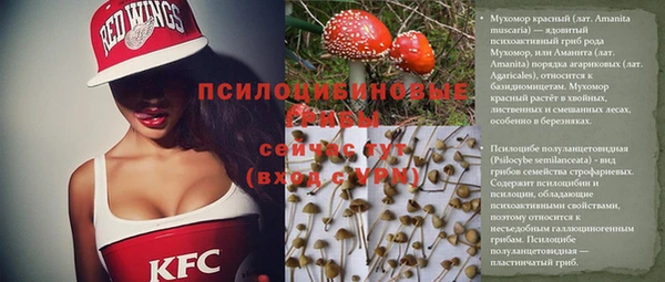 индика Инсар
