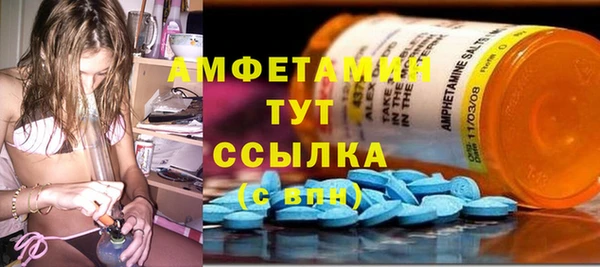 стафф Инта