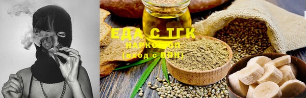 индика Инсар