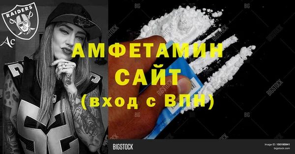 индика Инсар