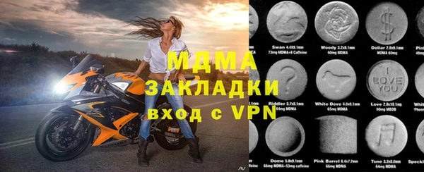 индика Инсар