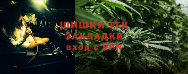 индика Инсар