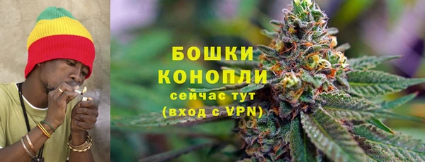 индика Инсар