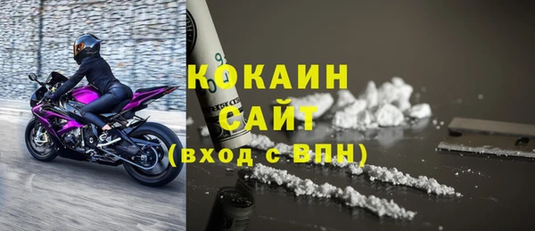 индика Инсар